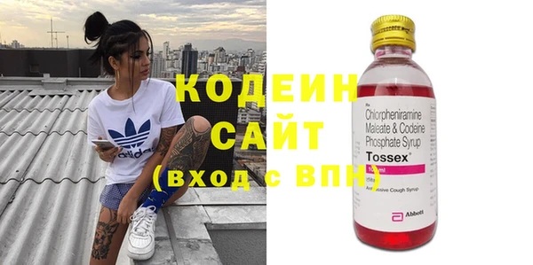 ECSTASY Бородино