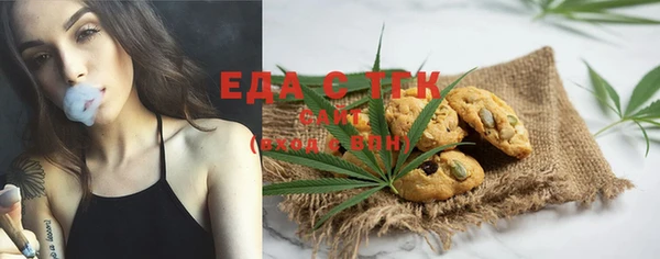 ECSTASY Бородино