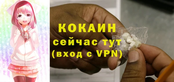 ECSTASY Бородино