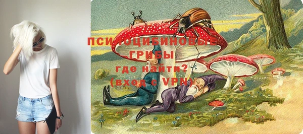 ПСИЛОЦИБИНОВЫЕ ГРИБЫ Бугульма