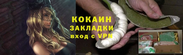ECSTASY Бородино