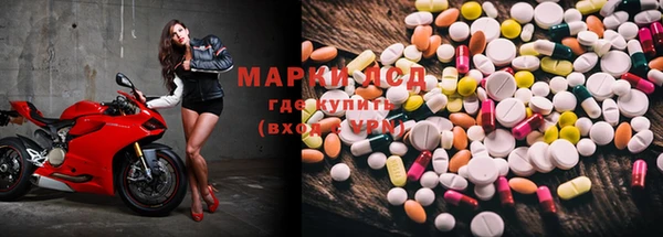 ECSTASY Бородино
