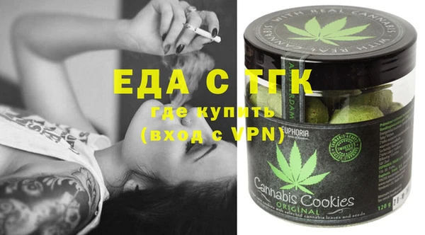 ECSTASY Бородино
