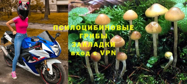 ПСИЛОЦИБИНОВЫЕ ГРИБЫ Бугульма
