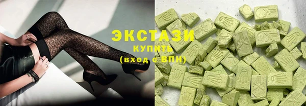ECSTASY Бородино
